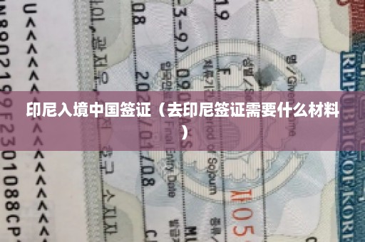 印尼入境中国签证（去印尼签证需要什么材料）