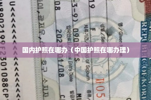 国内护照在哪办（中国护照在哪办理）