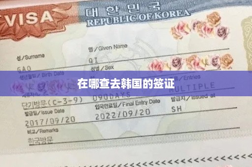 在哪查去韩国的签证