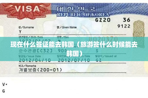 现在什么签证能去韩国（旅游签什么时候能去韩国）