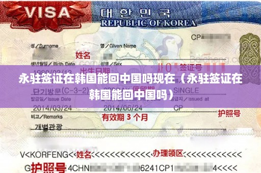 永驻签证在韩国能回中国吗现在（永驻签证在韩国能回中国吗）