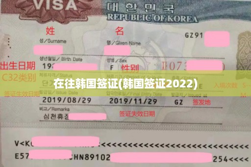 在往韩国签证(韩国签证2022)
