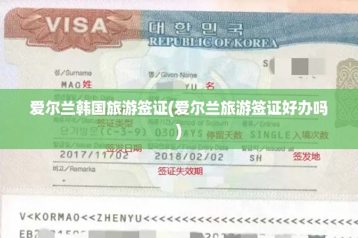 爱尔兰韩国旅游签证(爱尔兰旅游签证好办吗)