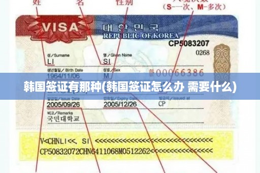 韩国签证有那种(韩国签证怎么办 需要什么)