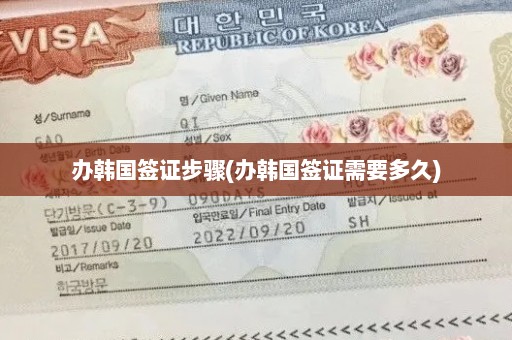 办韩国签证步骤(办韩国签证需要多久)
