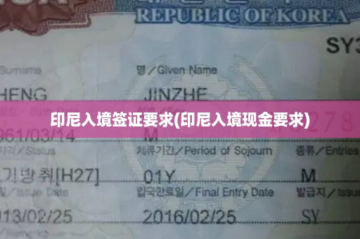 印尼入境签证要求(印尼入境现金要求)