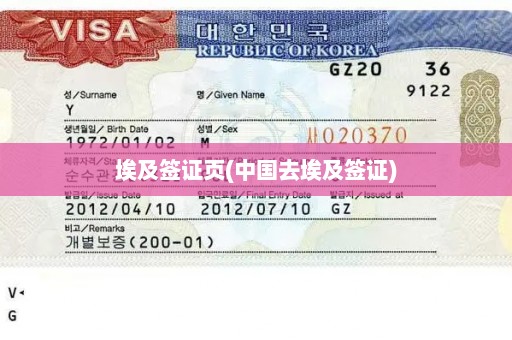 埃及签证页(中国去埃及签证)