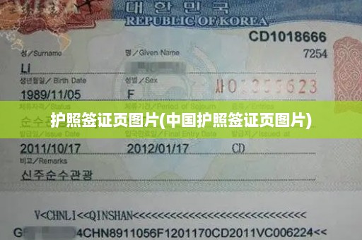 护照签证页图片(中国护照签证页图片)