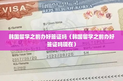 韩国留学之前办好签证吗（韩国留学之前办好签证吗现在）