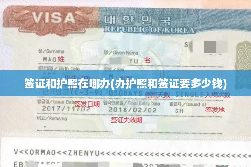 签证和护照在哪办(办护照和签证要多少钱)
