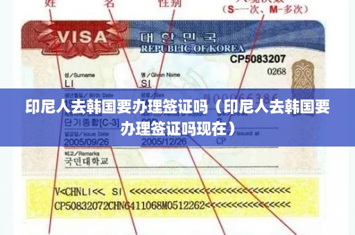 印尼人去韩国要办理签证吗（印尼人去韩国要办理签证吗现在）