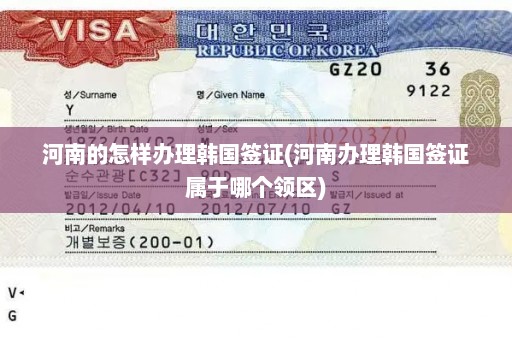 河南的怎样办理韩国签证(河南办理韩国签证属于哪个领区)