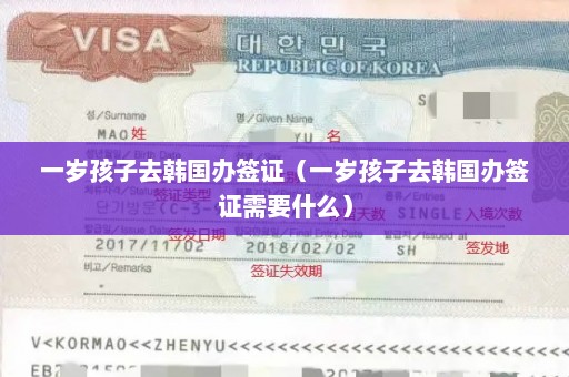 一岁孩子去韩国办签证（一岁孩子去韩国办签证需要什么）