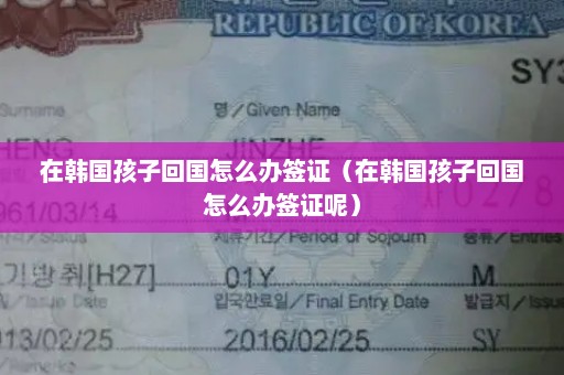 在韩国孩子回国怎么办签证（在韩国孩子回国怎么办签证呢）