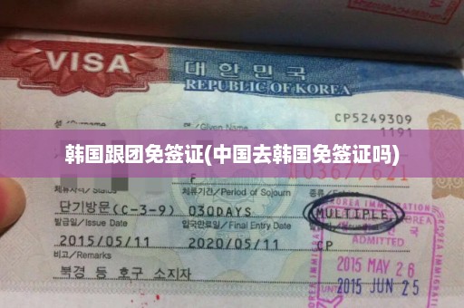 韩国跟团免签证(中国去韩国免签证吗)