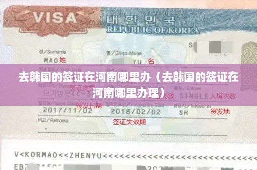 去韩国的签证在河南哪里办（去韩国的签证在河南哪里办理）