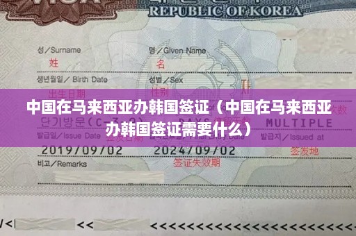 中国在马来西亚办韩国签证（中国在马来西亚办韩国签证需要什么）