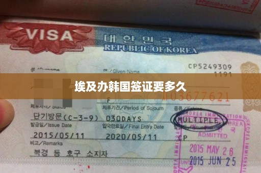 埃及办韩国签证要多久