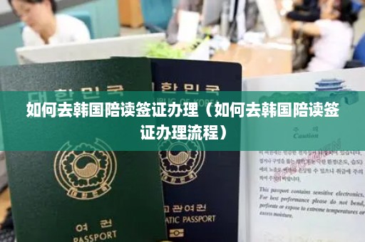 如何去韩国陪读签证办理（如何去韩国陪读签证办理流程）