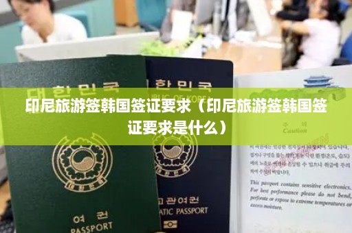 印尼旅游签韩国签证要求（印尼旅游签韩国签证要求是什么）