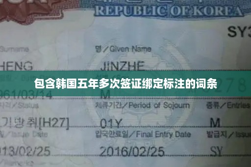 包含韩国五年多次签证绑定标注的词条