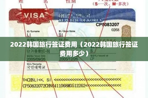 2022韩国旅行签证费用（2022韩国旅行签证费用多少）