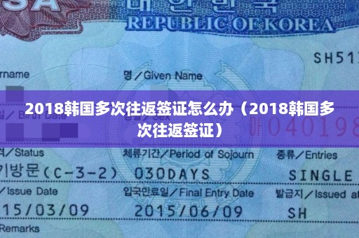2018韩国多次往返签证怎么办（2018韩国多次往返签证）