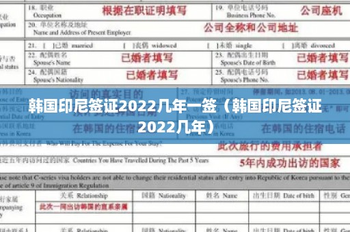 韩国印尼签证2022几年一签（韩国印尼签证2022几年）
