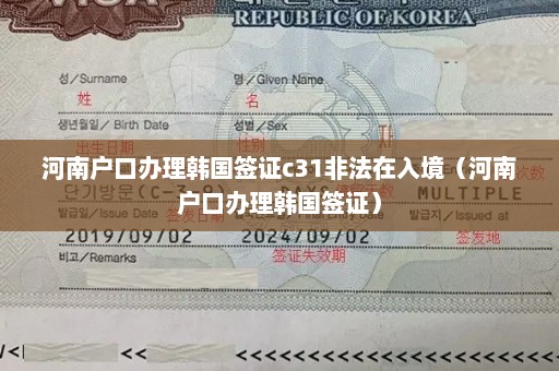 河南户口办理韩国签证c31非法在入境（河南户口办理韩国签证）