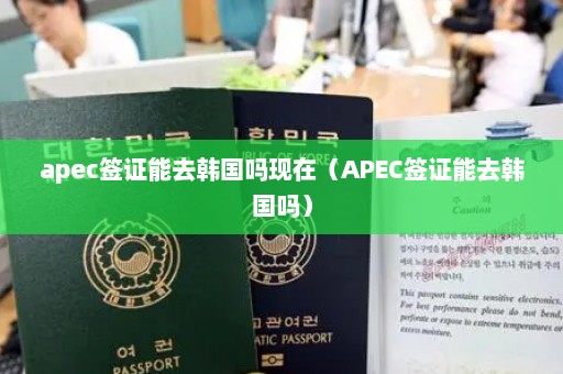 apec签证能去韩国吗现在（APEC签证能去韩国吗）