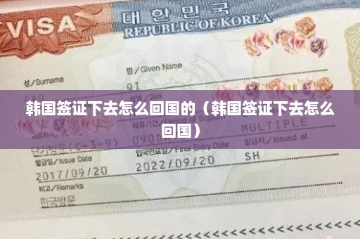 韩国签证下去怎么回国的（韩国签证下去怎么回国）