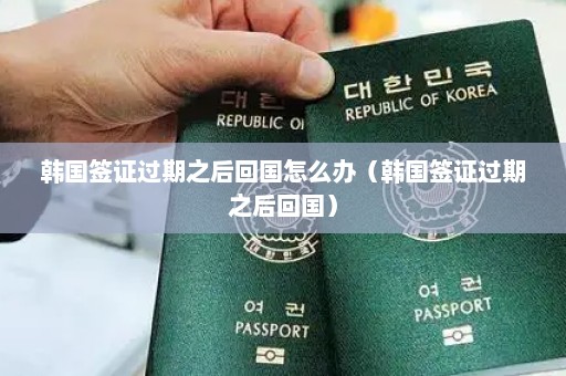 韩国签证过期之后回国怎么办（韩国签证过期之后回国）