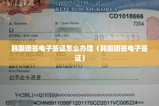 韩国团签电子签证怎么办理（韩国团签电子签证）
