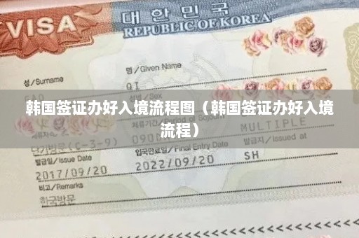 韩国签证办好入境流程图（韩国签证办好入境流程）