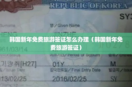 韩国新年免费旅游签证怎么办理（韩国新年免费旅游签证）