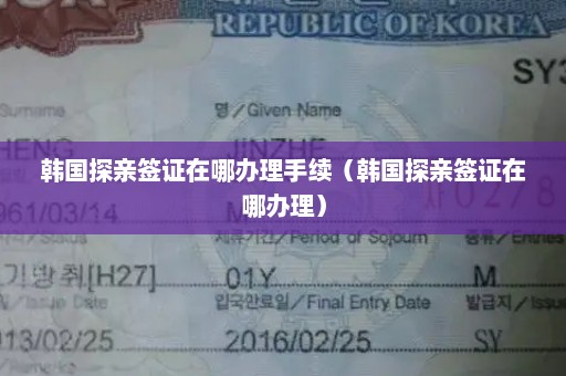 韩国探亲签证在哪办理手续（韩国探亲签证在哪办理）