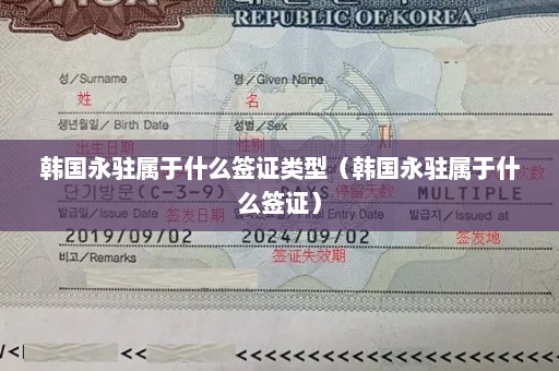 韩国永驻属于什么签证类型（韩国永驻属于什么签证）