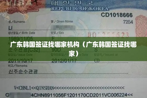 广东韩国签证找哪家机构（广东韩国签证找哪家）