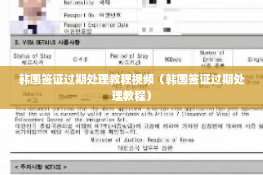 韩国签证过期处理教程视频（韩国签证过期处理教程）