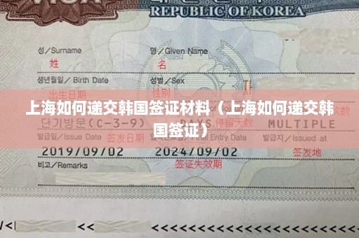 上海如何递交韩国签证材料（上海如何递交韩国签证）