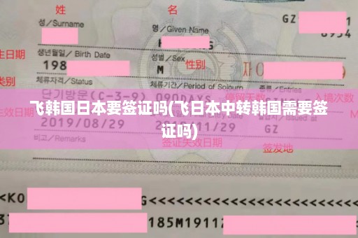 飞韩国日本要签证吗(飞日本中转韩国需要签证吗)