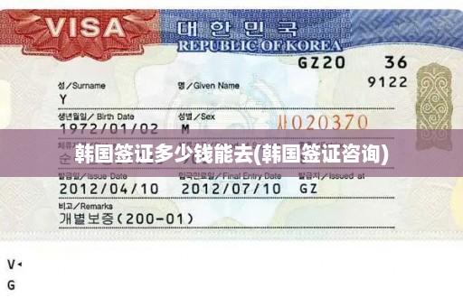韩国签证多少钱能去(韩国签证咨询)