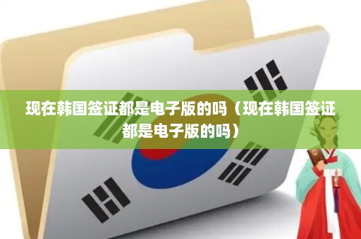 现在韩国签证都是电子版的吗（现在韩国签证都是电子版的吗）