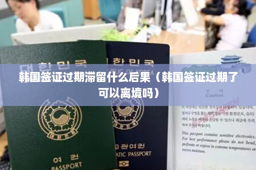 韩国签证过期滞留什么后果（韩国签证过期了可以离境吗）