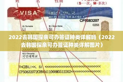 2022去韩国探亲可办签证种类详解吗（2022去韩国探亲可办签证种类详解图片）