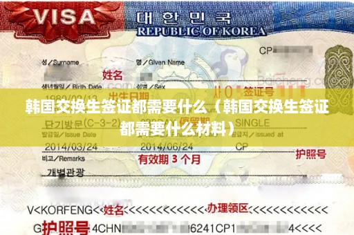 韩国交换生签证都需要什么（韩国交换生签证都需要什么材料）