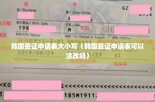 韩国签证申请表大小写（韩国签证申请表可以涂改吗）