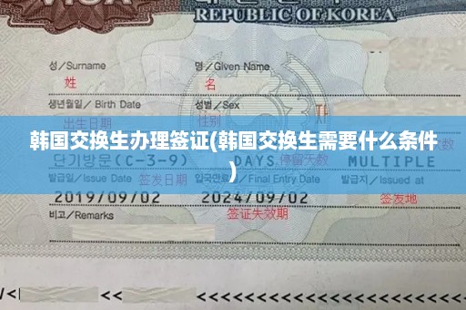 韩国交换生办理签证(韩国交换生需要什么条件)