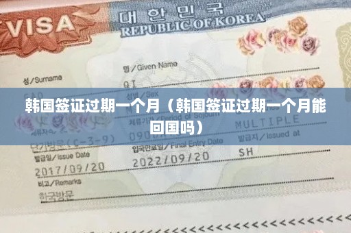 韩国签证过期一个月（韩国签证过期一个月能回国吗）
