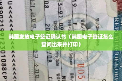 韩国发放电子签证确认书（韩国电子签证怎么查询出来并打印）